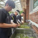 (주)베스트팜 이미지