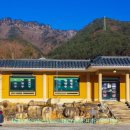 솔고개민박식당 이미지