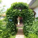 호평프라자 이미지