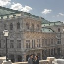 자연과 함께하는 디지털 사진(1년) | 1년내내 비엔나, 언제나 유럽 분위기 가득한 스냅사진을 남기는 방법 추천!