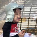 책속에풍덩Villa 이미지