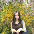 대현결혼정보 이미지