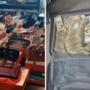 가방위에 고양이 이미지