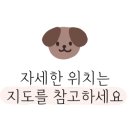 대성카 모터스 이미지