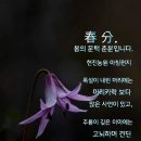 오늘은 춘분(春分) 이미지