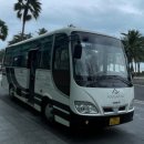 국제비치마트 | 나트랑 _ 아미아나 깜란 리조트 태교여행 내돈내산 후기 ( 조식 + 중식 + 디럭스 씨뷰 트윈룸...