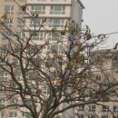 운남칼국수 이미지