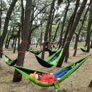 포항시남구13 이미지