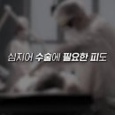 D00416 이미지