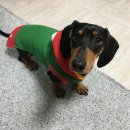 메리코코