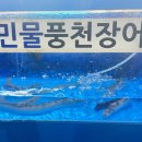 산꼼장어랑민물장어 네이버블로그