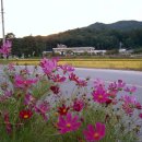 영월교회 앞 이미지