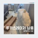 아폴로메디칼 이미지