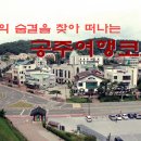 GR(부여군)-[왕릉로]-상-4 | 공주의 관광명소와 맛집들로 이루어진 당일치기 공주여행코스 : 도꾸다이
