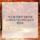 엘츠의원 이미지