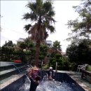 제주곶자왈별장 이미지