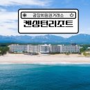 (주)이랜드파크 한국콘도 제주중문 이미지
