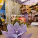 한국무용도라지 이미지