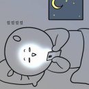 또치 네이버블로그