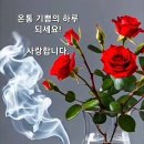 좋은하루 이미지