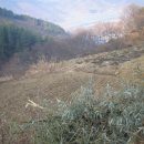 산새농원 이미지