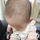 과천점 현대자동차 이미지