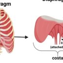 카인드짐 이미지