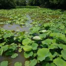 황토농장 이미지