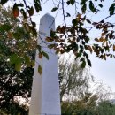 통일을 위한 분투 이미지