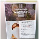 관악청소년센터 | 관악청소년센터 여름방학 아로마테라피 특강 출강 초등학생 힐링 수업, 서클 프로그램 &amp; 에센셜 오일
