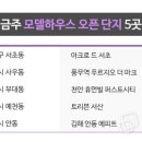 제니스하이브