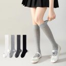 하미팜
