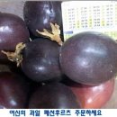 궁 민박 이미지