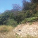 은별농장 이미지