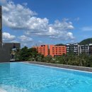 별이와개똥이 이미지