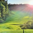 대영베이스컨트리클럽 이미지