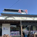 우가본 | 임자도 점심 맛집 추천 🌸 우가 갈비탕 + 홍매화 + 바닷가 코스