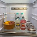 스테이고현 이미지