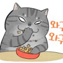 수철이네왕새우튀김중동역점 이미지