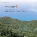 숲속의헬스 이미지