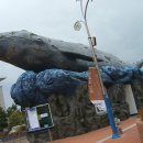 장생포고래박물관 이미지