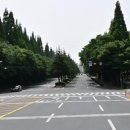 봉곡동190 이미지