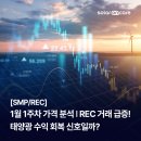 도원제주태양광 | [SMP/REC]1월 1주차 가격 분석 | REC 거래 급증! 태양광 수익 회복 신호일까?