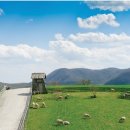 홍정목장 이미지