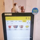 방배1동 주민센터 이미지