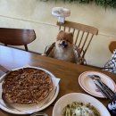 159 | 남양주팔당파스타 맛집 애견동반 피빙팔당점