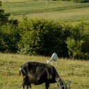 자연건강원 이미지