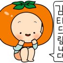 난니꼬양 이미지