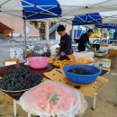 평거초등학교 이미지