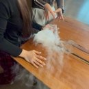 고향찬반 | 두려움 없이 이 넓은 세상 나아갈 수 있길